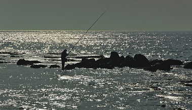 Pesca boya